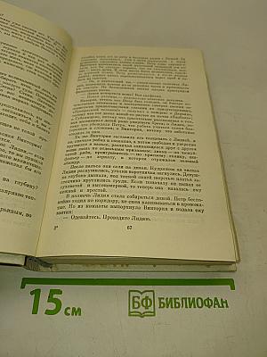 Лягушонок на асфальте