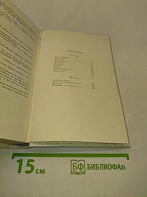 Лягушонок на асфальте