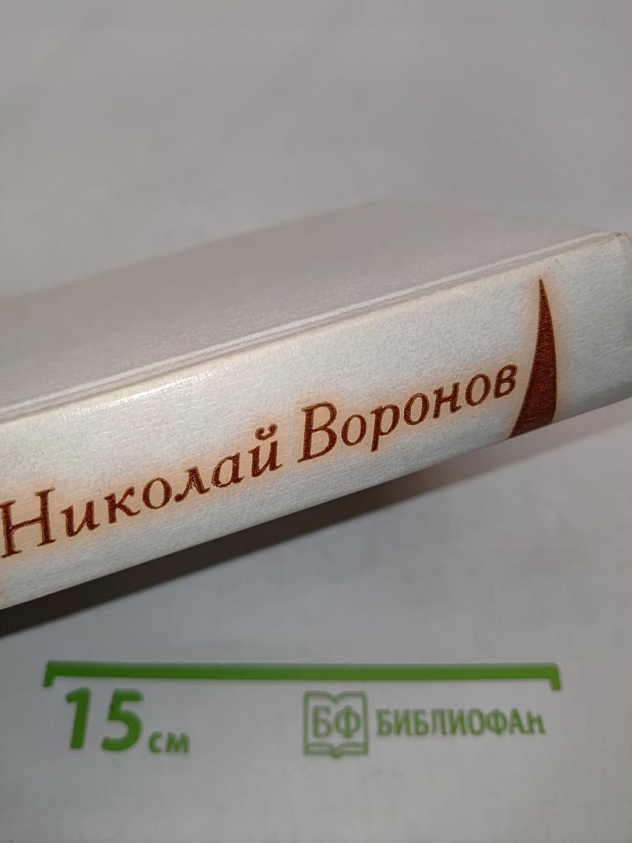Лягушонок на асфальте