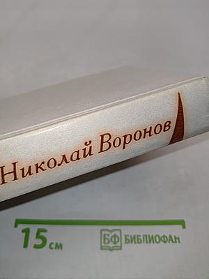 Лягушонок на асфальте
