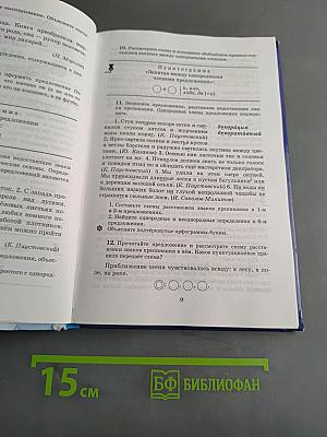 Русский язык. Практика. 9 класс