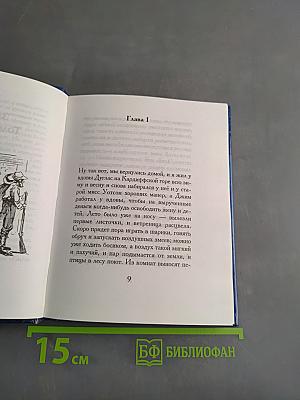 Заговор Тома Сойера