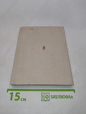 Зина Портнова