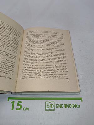 Пять часов до бессмертия