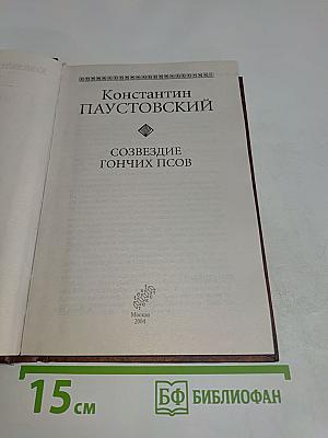 Созвездие гончих псов