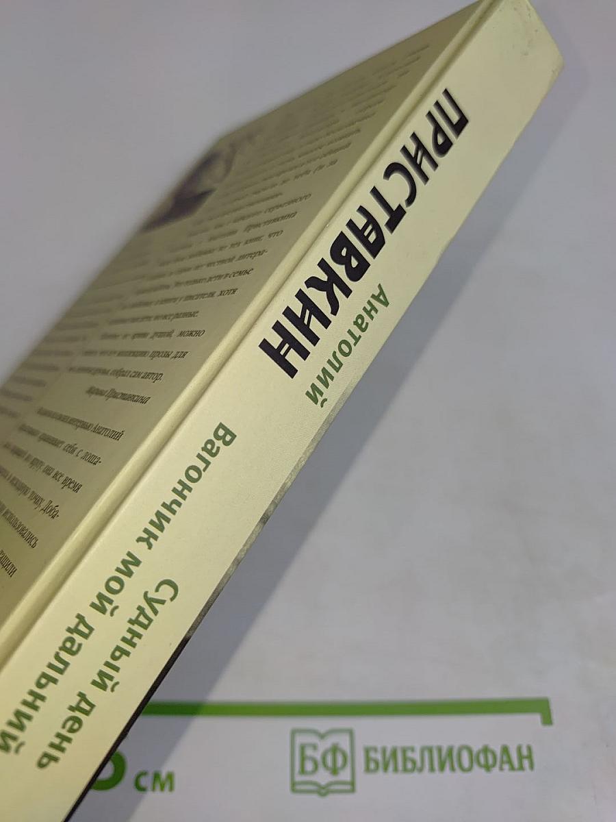 Судный день. Вагончик мой дальний