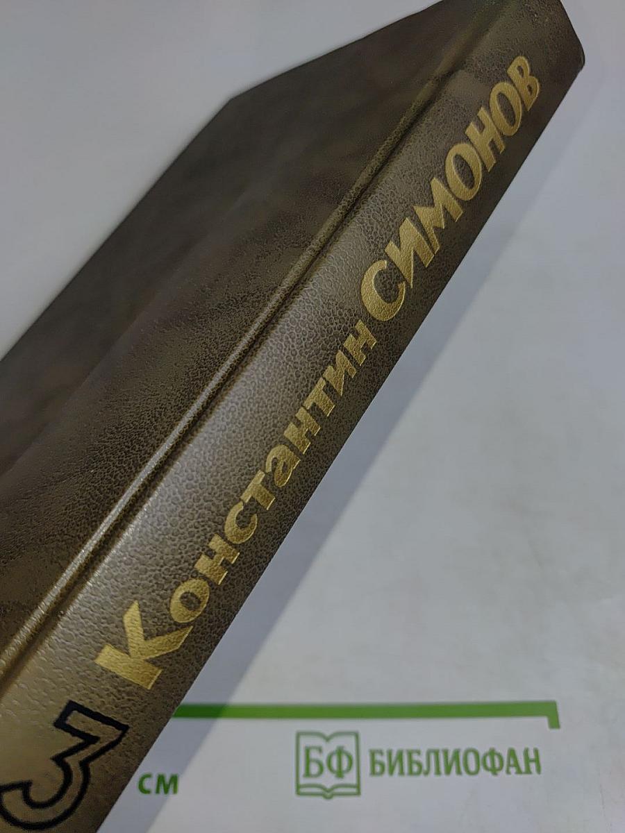 Живые и мертвые. Книга третья. Последнее лето
