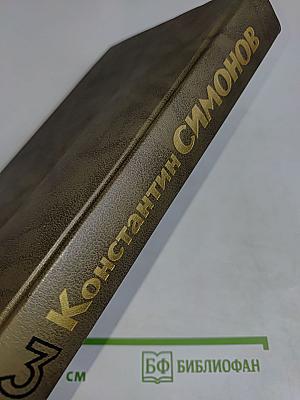 Живые и мертвые. Книга третья. Последнее лето