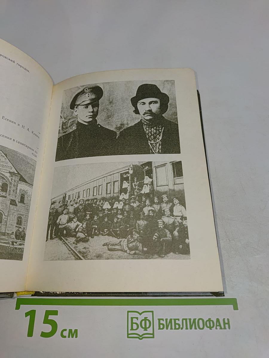 Есенин в Петрограде – Ленинграде
