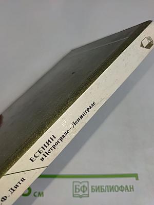 Есенин в Петрограде – Ленинграде