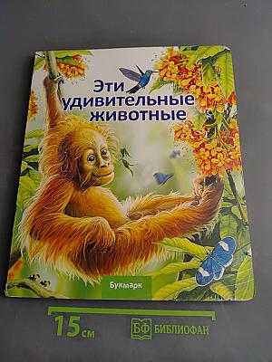 Эти удивительные животные