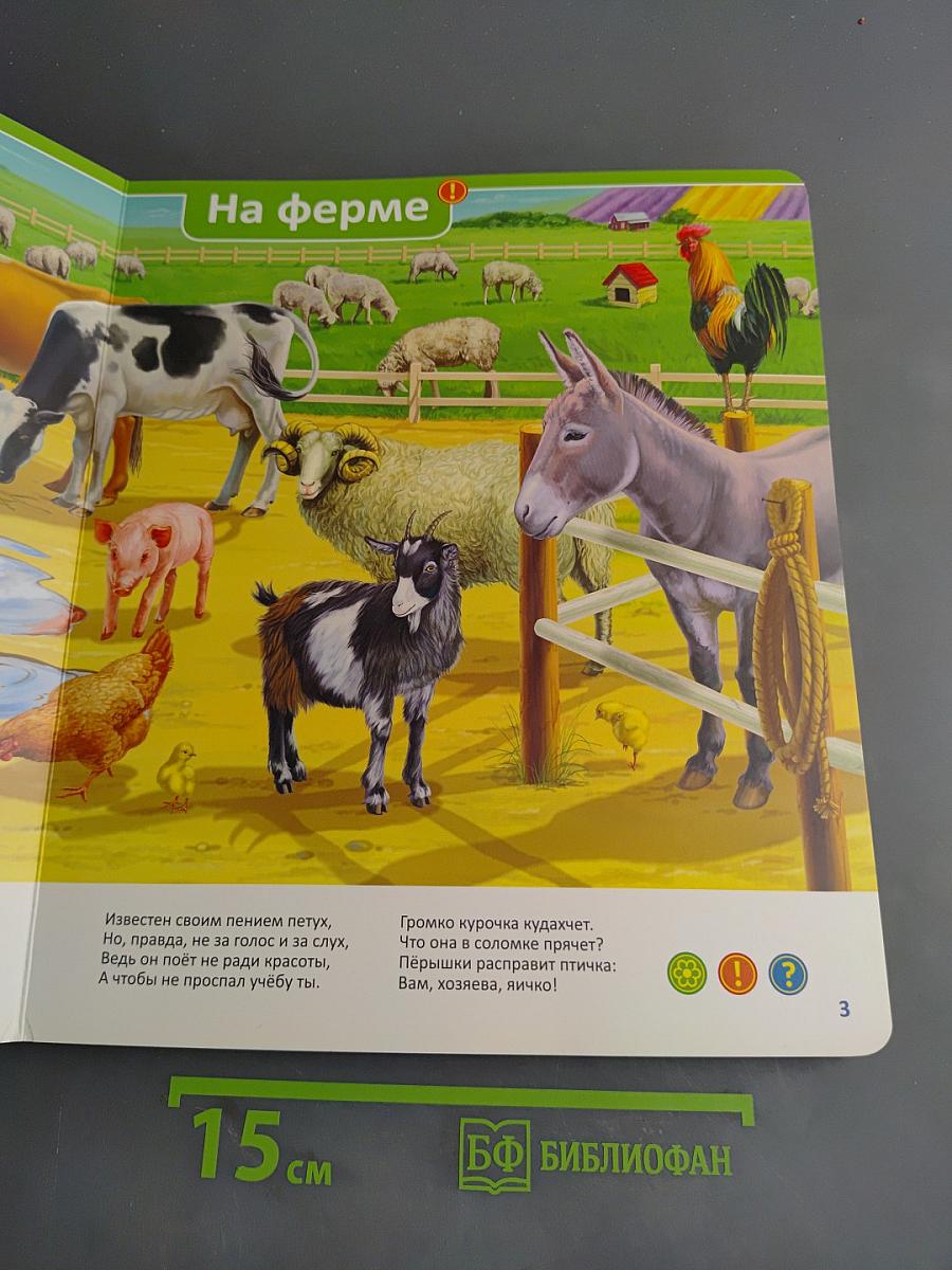 Эти удивительные животные