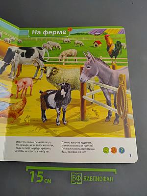 Эти удивительные животные
