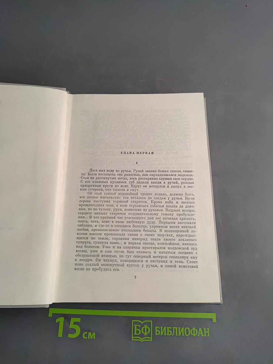Собрание сочинений. Том Четвертый: Сот, Саранча, Повесть