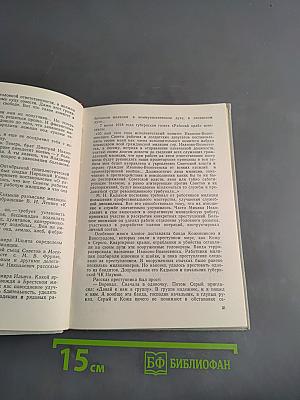 Часовые порядка