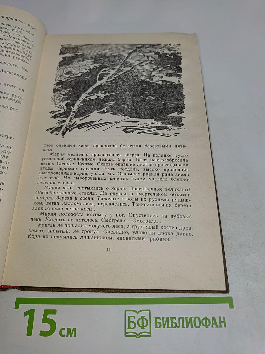 Дом на Монетной. Мост вздохов. Избранное