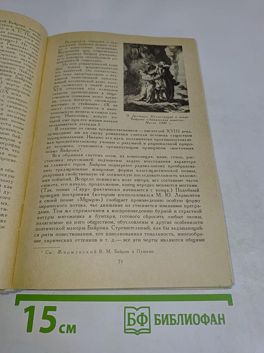 История зарубежной литературы XIX века