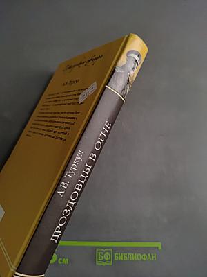 Дроздовцы в огне