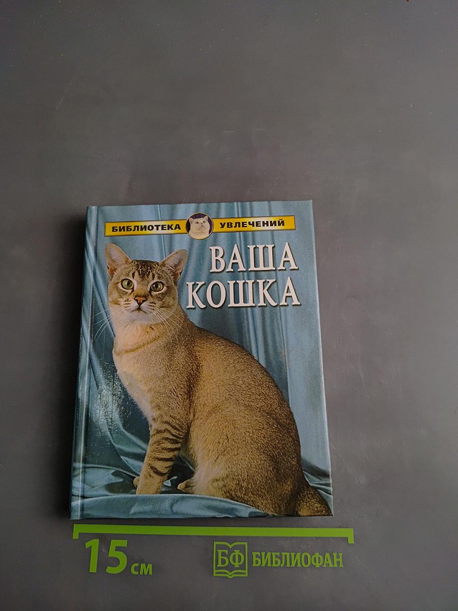 Ваша кошка
