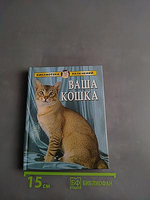 Ваша кошка