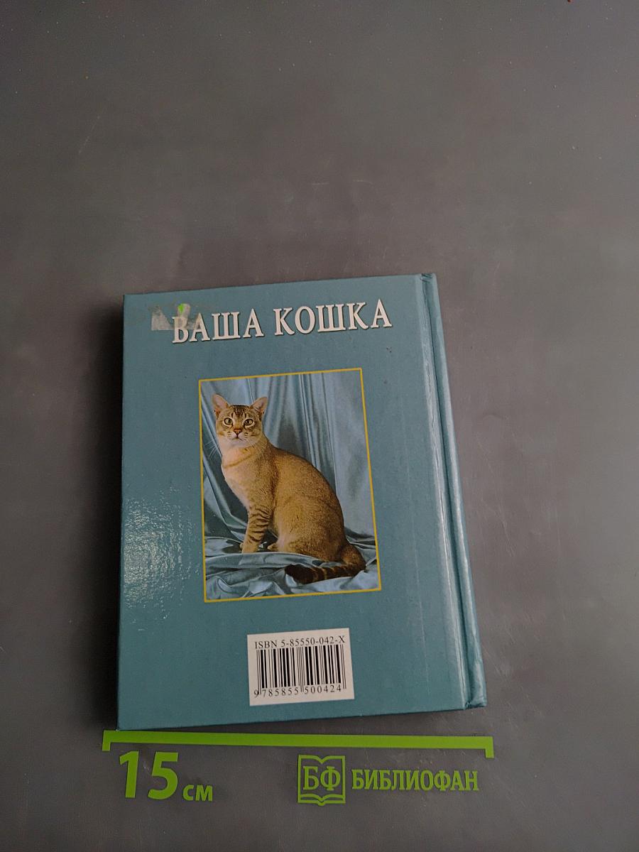Ваша кошка