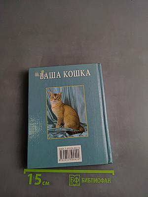 Ваша кошка