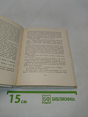 Белый Бим Черное ухо