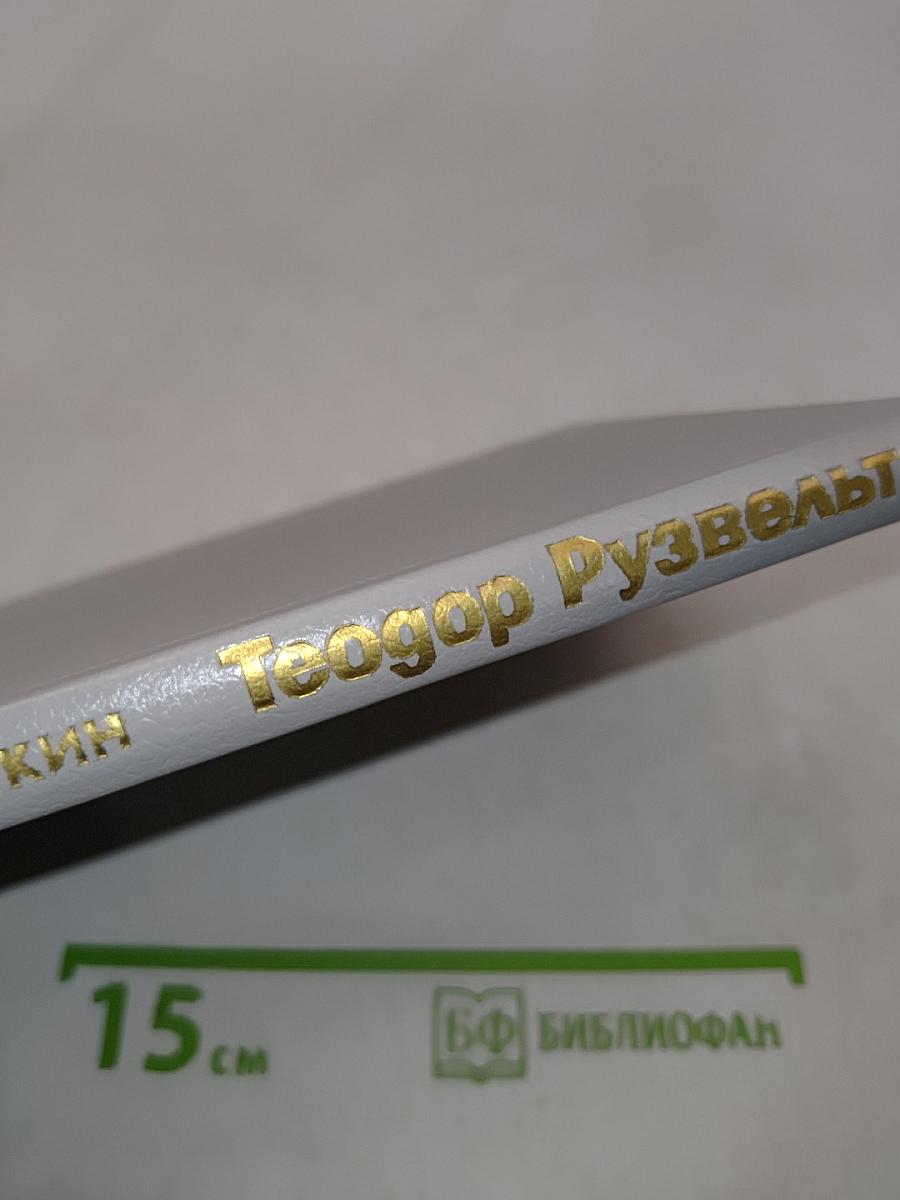 Теодор Рузвельт. Политический портрет