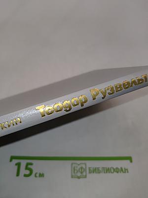 Теодор Рузвельт. Политический портрет