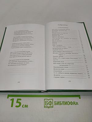 Николай Рубцов. Прощальная песня