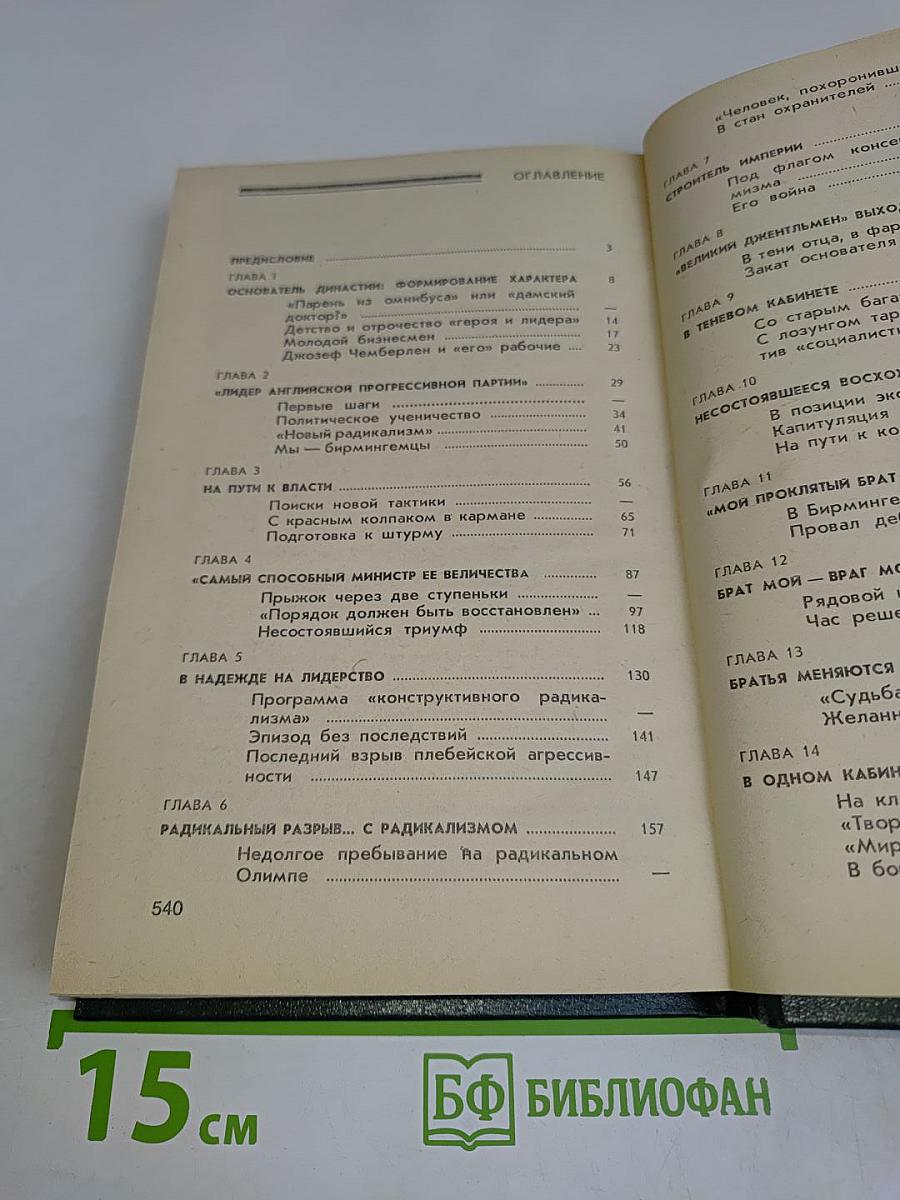 Джозеф Чемберлен и сыновья