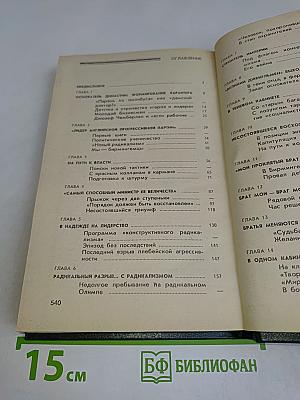 Джозеф Чемберлен и сыновья