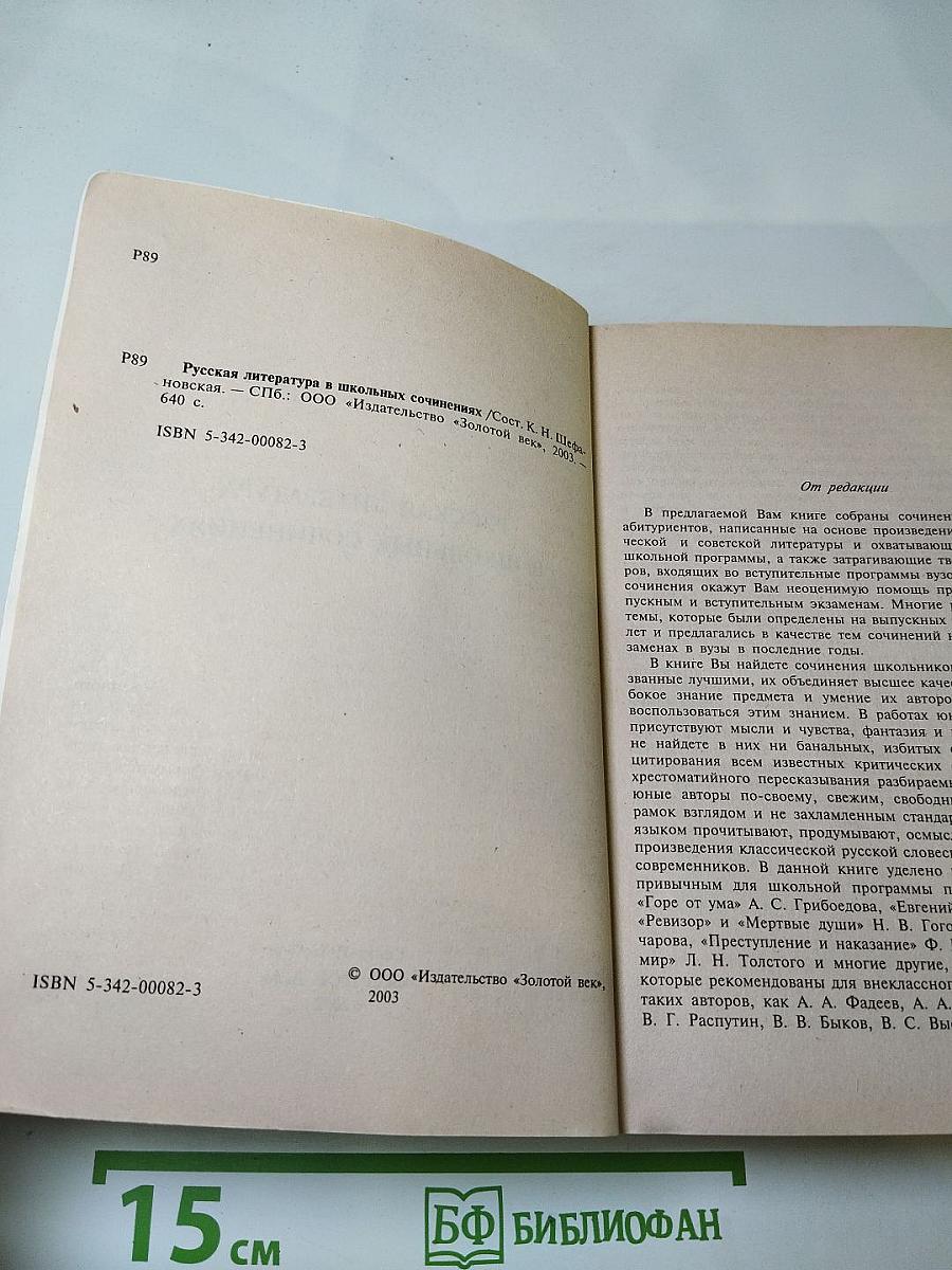 Русская литература в школьных сочинениях