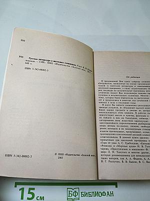 Русская литература в школьных сочинениях