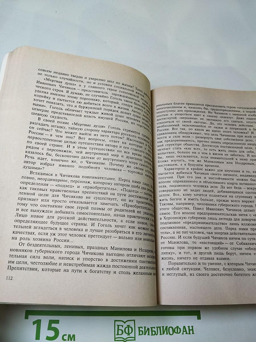 Русская литература в школьных сочинениях