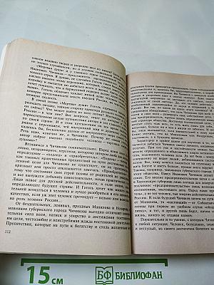 Русская литература в школьных сочинениях