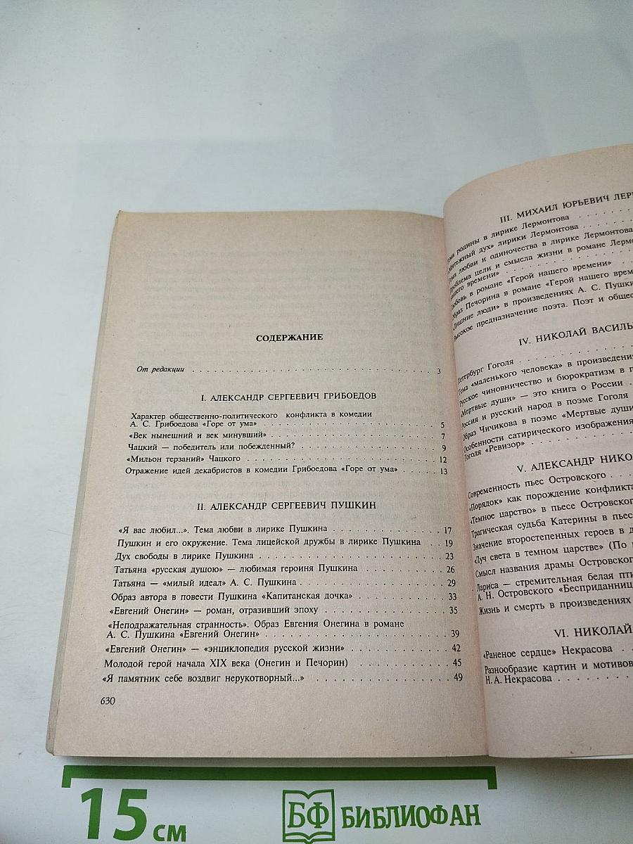 Русская литература в школьных сочинениях