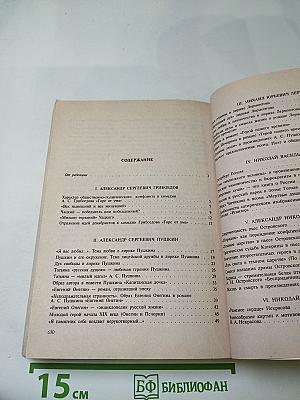 Русская литература в школьных сочинениях