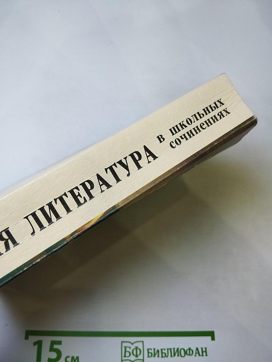 Русская литература в школьных сочинениях