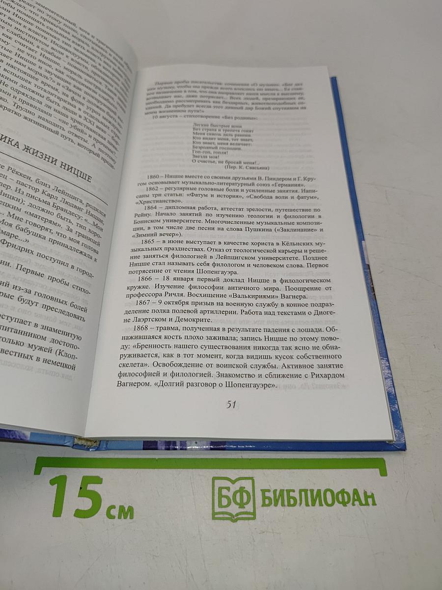 Прекрасные безумцы. Литературные портреты