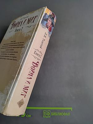 Война и мир. Книга 2