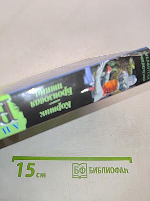 Кортик. Бронзовая птица