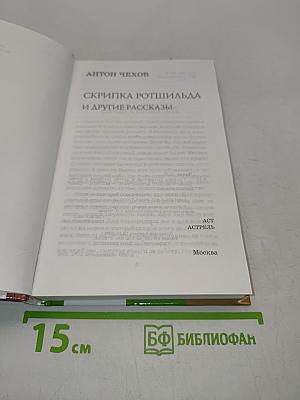 Скрипка Ротшильда и другие рассказы