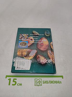 Янтарь (Мини-энциклопедия)