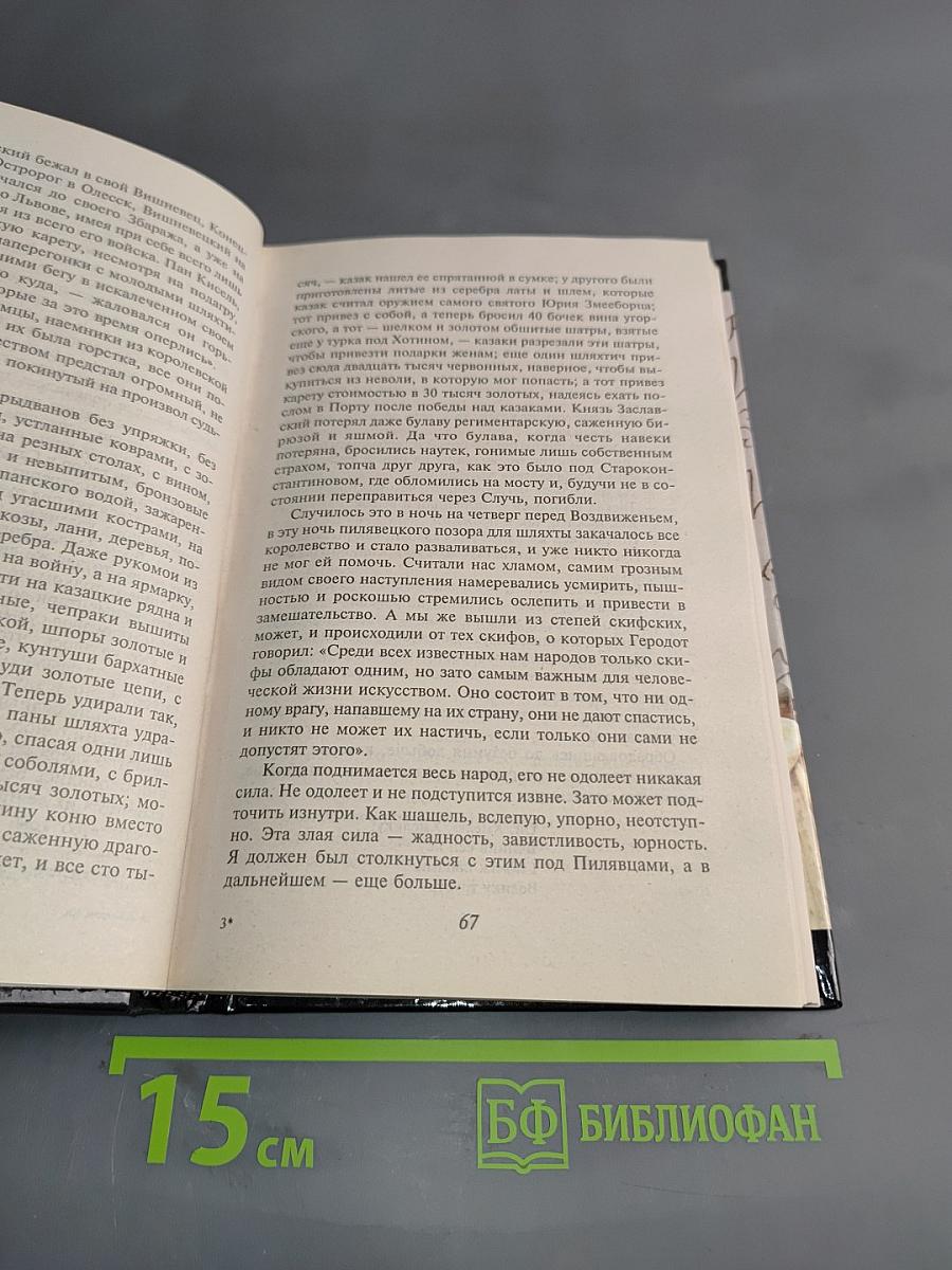 Я, Богдан. Исторический роман. Книга 2. Главы 24-38