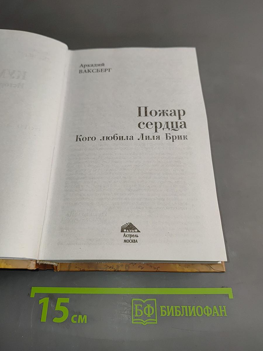 Пожар сердца. Кого любила Лиля Брик