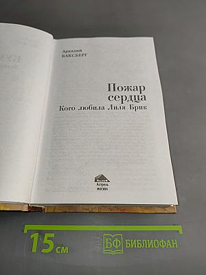 Пожар сердца. Кого любила Лиля Брик