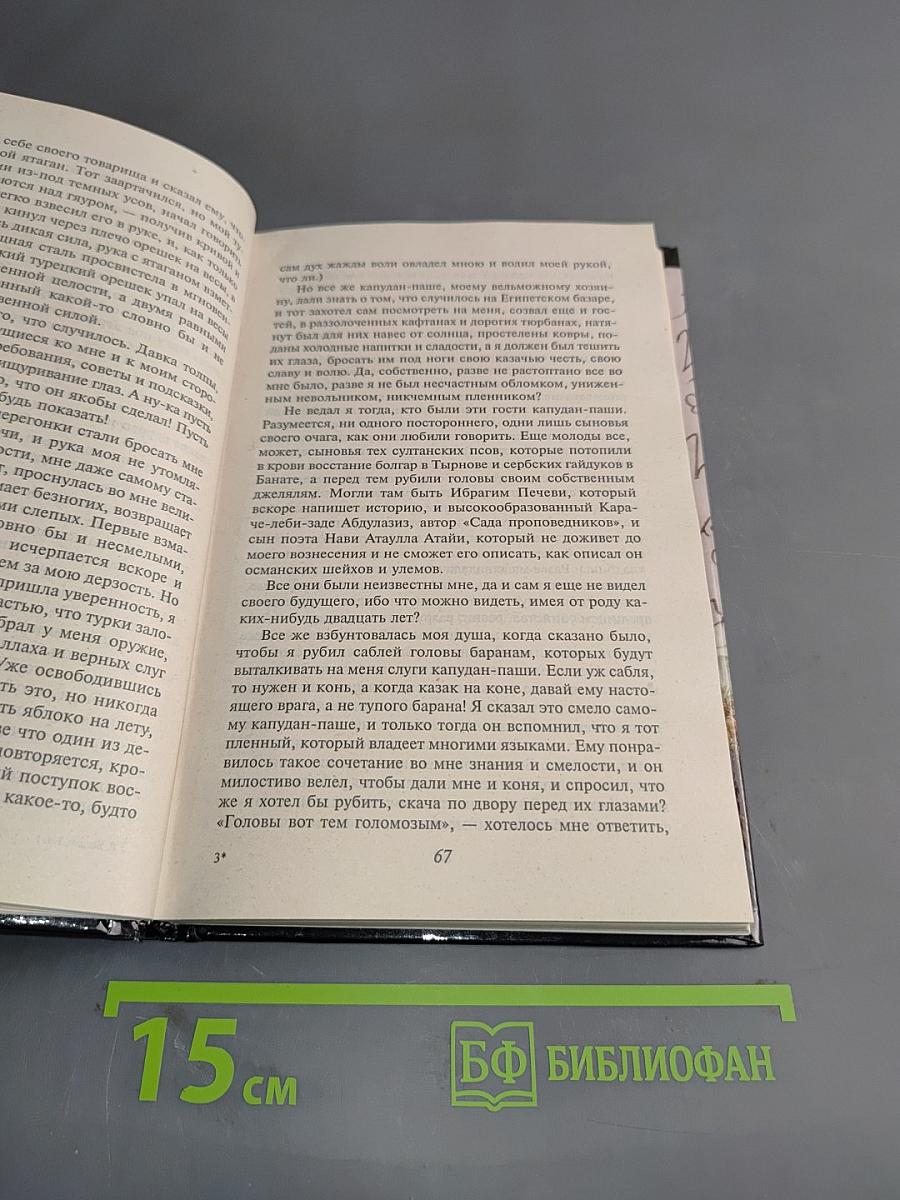 Я, Богдан. Исповедь во славе. Книга 1