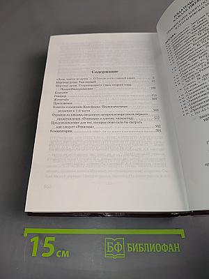 Мертвые души, Женитьба, Ревизор
