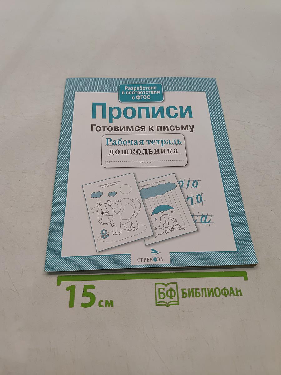 Прописи. Готовимся к письму. Рабочая тетрадь дошкольника